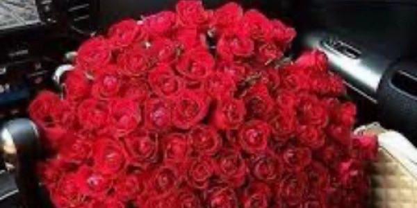 Приглашаю девушек для высокооплачиваемой работы в город Екатеринбург +7(922)024-42-84