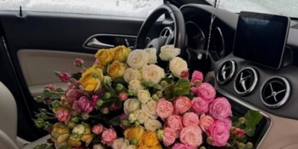 Новороссийск и Геленджик!!! Лучшие условия +7(994)333-33-21 Новороссийск и Геленджик!!! Лучшие условия +7(994)333-33-21
