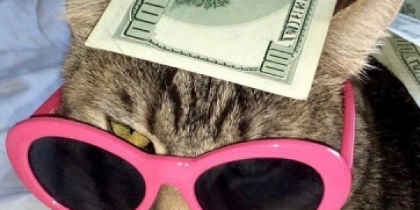 Работа в Санкт-Петербурге под ИНДИ +7(996)498-14-89